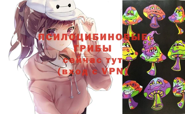 PSILOCYBIN Белоозёрский