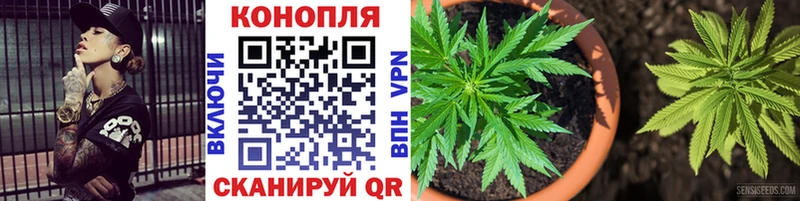Конопля Bruce Banner Яблоновский